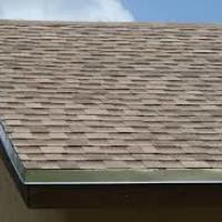 Shingle Roof 